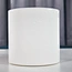 tad paper towel